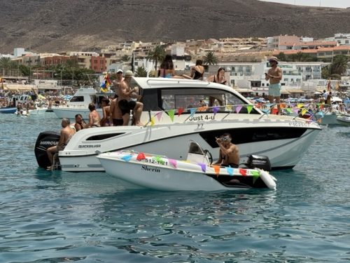 nautic_rent_treu_00010 de tamaño mediano